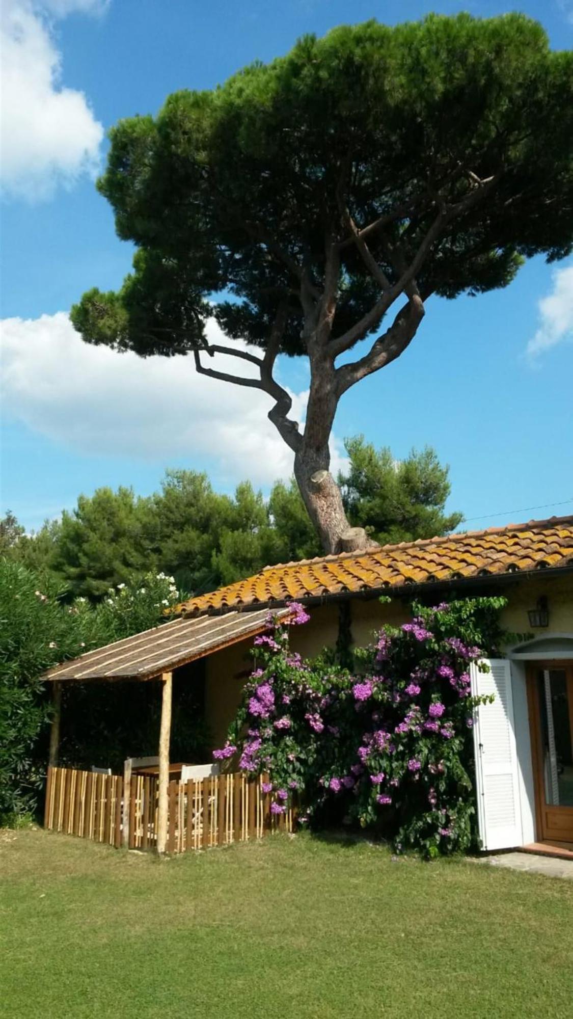 I Cavalleggeri Villa Кастането Кардучи Екстериор снимка